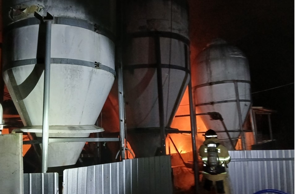 의성군 안계면 돼지 농장 화재 현장. 경북소방본부 제공