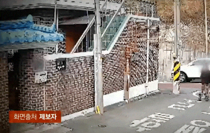 전북 전주시의 한 주택가에서 강아지를 상자에 담아 유기한 여성의 모습이 공개돼 공분이 일고 있다. JTBC ‘사건반장’ 캡처