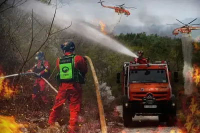 제2의 영남 ‘산불’은 없다…국가 ‘총동원’ 체계 가동