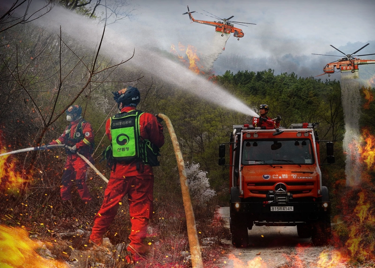산불 진화 이미지. 서울신문 DB
