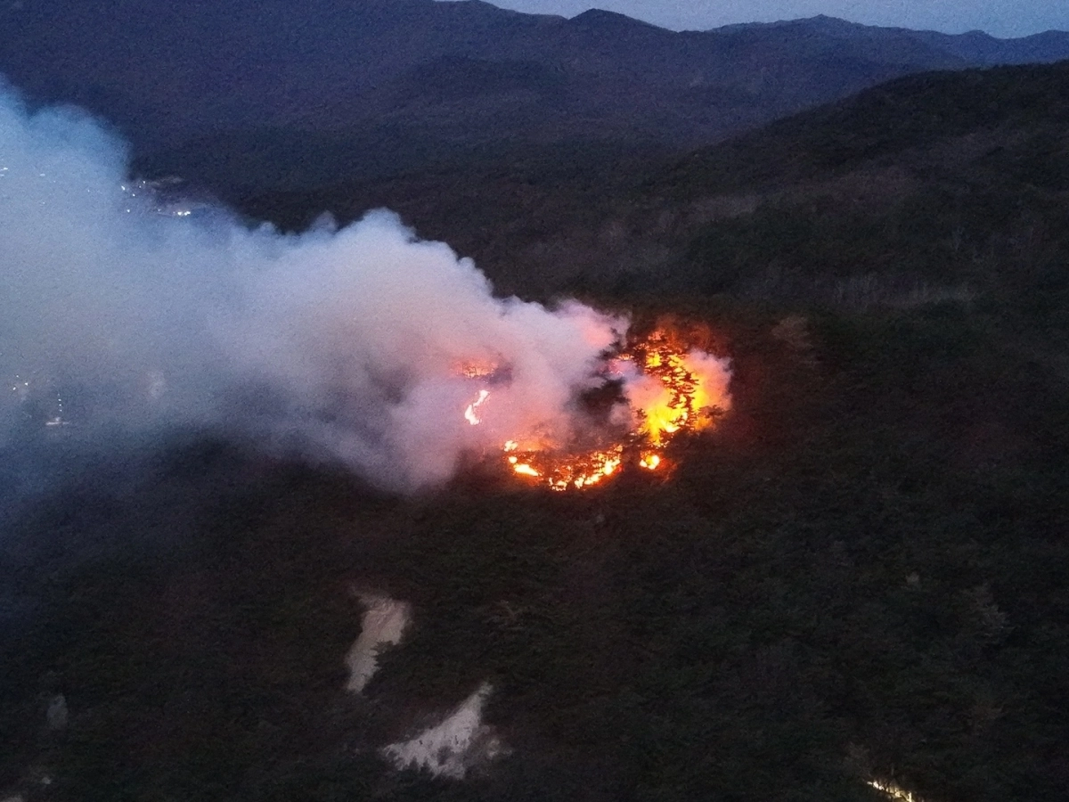 20일 오전 6시 16분쯤 울산 울주군 삼남읍 교동리 작천정  인근 봉화산에서 산불이 발생했다. 울산소방본부 제공
