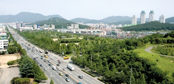 1970년대 박정희 정부의 중화학공업 육성정책에 따라 조성된 경남 창원시 창원대로 전경. 당시로서는 파격적으로 넓은 왕복 8차로와 녹지구역을 넉넉하게 확보해 요즘 건설되는 도로 못지않은 인프라를 자랑한다. 서울신문DB