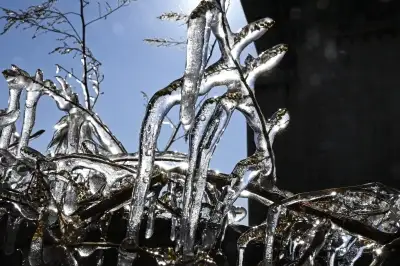 역대급 강추위에 한강 고드름 ‘꽁꽁’