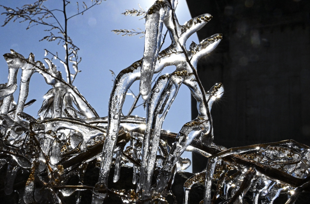 절기상 대한(大寒)이자 전국 최저기온이 영하 17도까지 떨어지는 등 강력한 한파가 몰아닥친 20일 서울 광진구 서울 광진구 뚝섬한강공원 인근에 고드름이 얼어 있다. 2026.1.20 이지훈 기자
