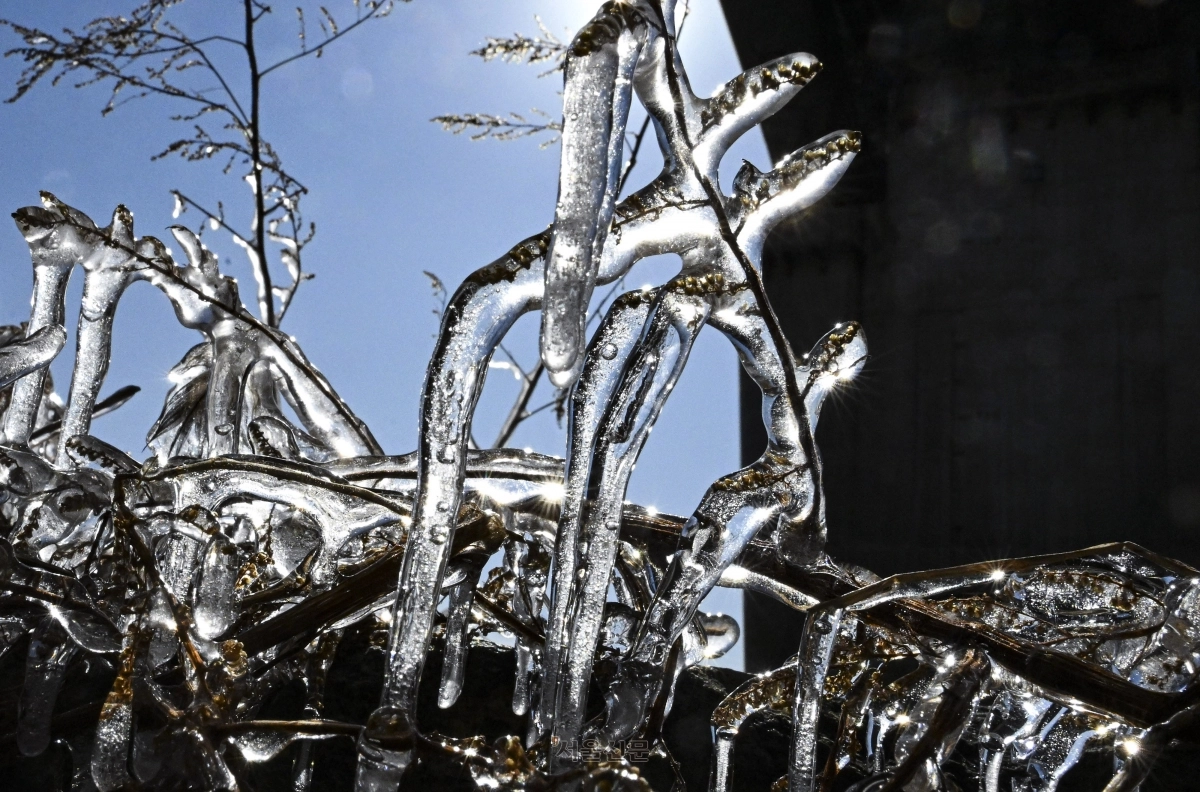 절기상 대한(大寒)이자 전국 최저기온이 영하 17도까지 떨어지는 등 강력한 한파가 몰아닥친 20일 서울 광진구 서울 광진구 뚝섬한강공원 인근에 고드름이 얼어 있다. 2026.1.20 이지훈 기자