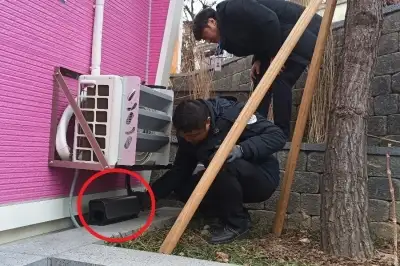 ‘야옹’ 마포구의 똑소리 나는 쥐잡기