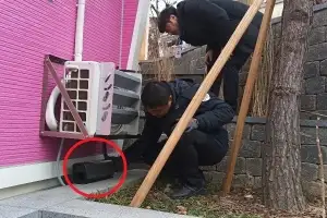 ‘야옹’ 마포구의 똑소리 나는 쥐잡기