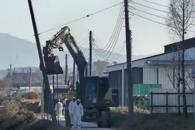 보령 육용종계 농장서 AI ‘H5형’ 확인…긴급 방역 조치