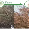 구룡산 소나무재선충병 발생…서울시 “확산방지 총력”