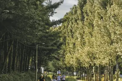 낭만의 노원 경춘선숲길, 광운대역 이어져요