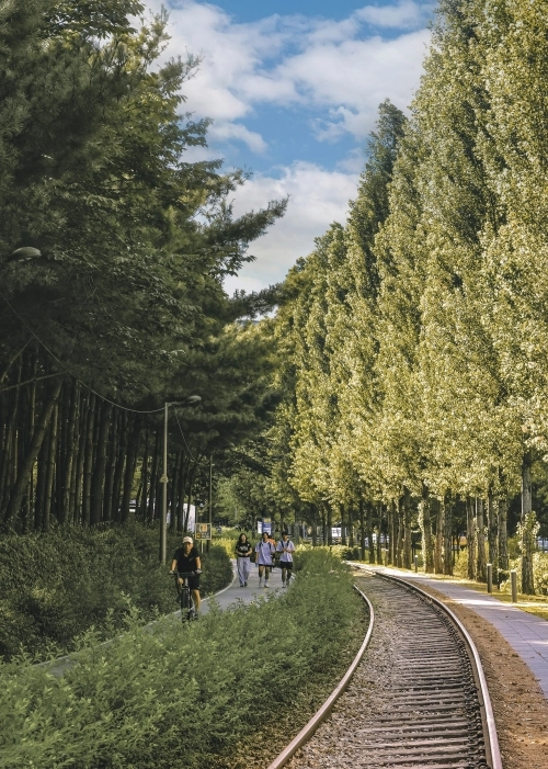 서울 노원구 경춘선숲길을 산책하는 시민들. 노원구 제공