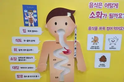 실내에서 배우는 건강여행…구로구 어린이 건강체험관