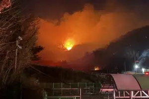 광양 산불 국가소방동원령…진화율 65％