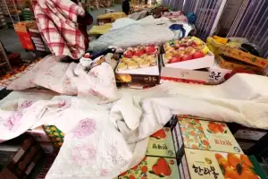 [포토] 한파에 ‘이불 덮은’ 과일들