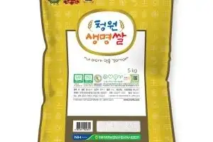 3040이 선택한 청주… 3년 만에 13억 돌파