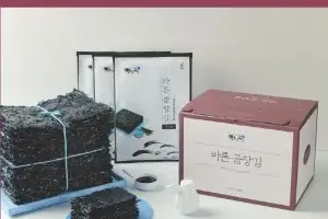 재기부 이끄는 AI홍보… 해남의 성공 공식