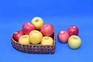 산불 피해 복구 돕고 ‘청송사과’ 맛보고