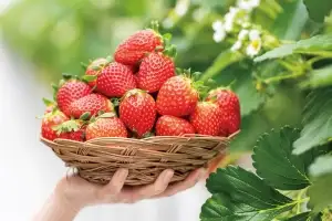 취약층 품은 고령… 기부자 명예까지 챙긴다