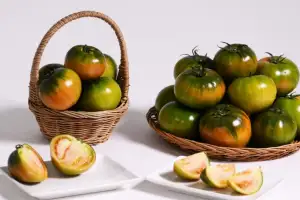 호텔부터 미식까지… ‘관광도시’ 부산 오이소