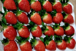 답례품 6종 추가… ‘군위 딸기’ 인기 견인