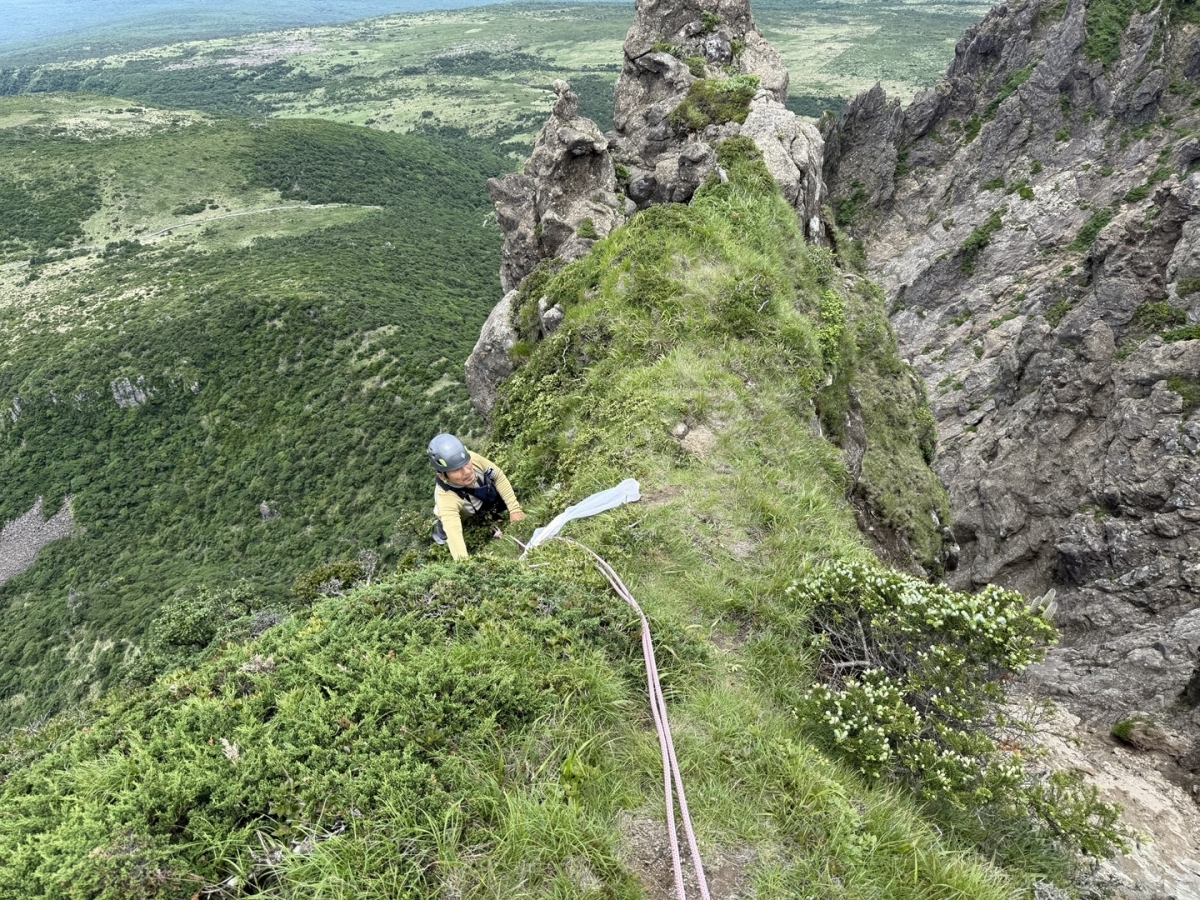 한국환경생태학회지에 공동 연구진으로 이름 올린 한상곤 한라산국립공원 주무관은 자연환경해설사로 현장 자문을 맡았다. 사진은 한 주무관이 한라산 정상부 1900m 일대에서 한라솜다리 등을 현장 조사하고 있는 모습. 세계유산본부 한라산국립공원 제공