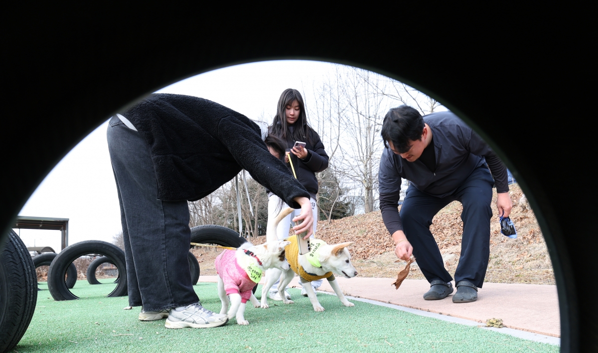 반려동물 교육 현장 뉴스1