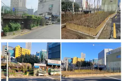서대문구, 충정로역 인근 철로 변 무단 점유 완충 녹지 복원