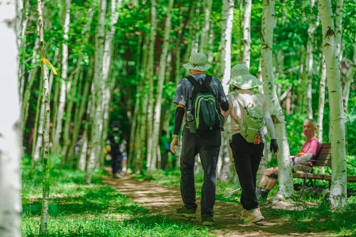 지난해 7월 태백 지지리골 일대에서 열린 운탄고도 1330 트레일 페스티벌에 참가한 관광객이 울창한 숲길을 걷고 있다. 강원관광재단 제공