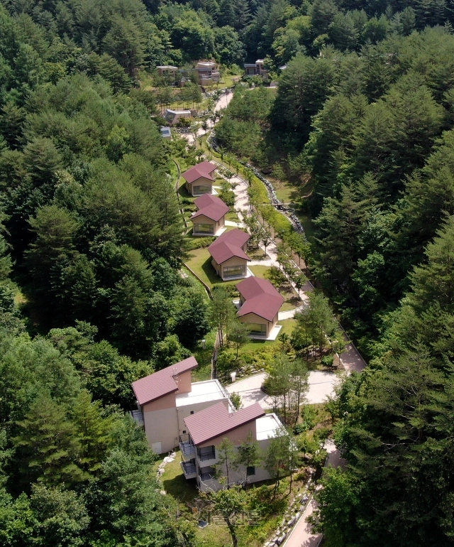 울진 금강송에코리움 숙박동. 울진군 제공