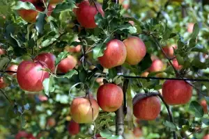 농민 부담 덜어주는 양구…“농자재 지원 확대”