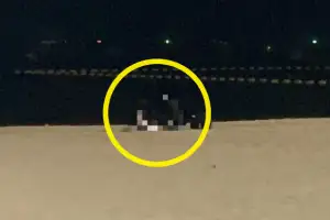 “충격 목격” 해변서 성행위 男女… 증거 사진 들이민 파타야 경찰에 체포