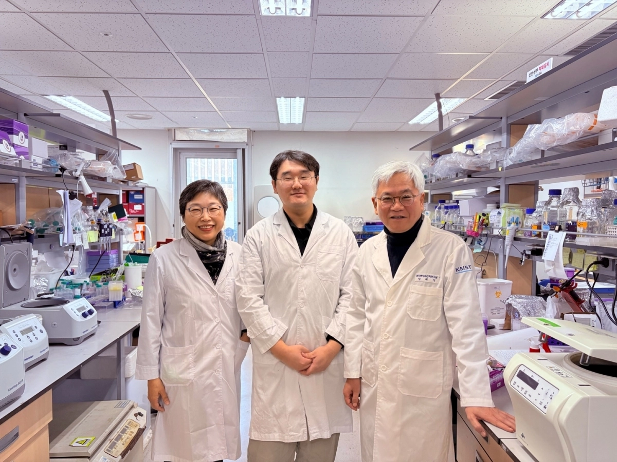 왼쪽부터 강주경 연구교수, 설태준 연구원, 임대식 교수  카이스트 제공