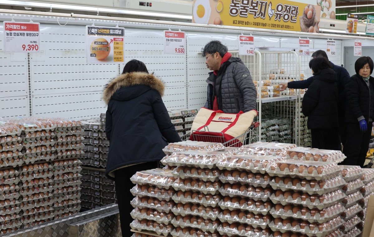 계란값 잡힐까… 미국산 신선란 첫 물량 국내 도착