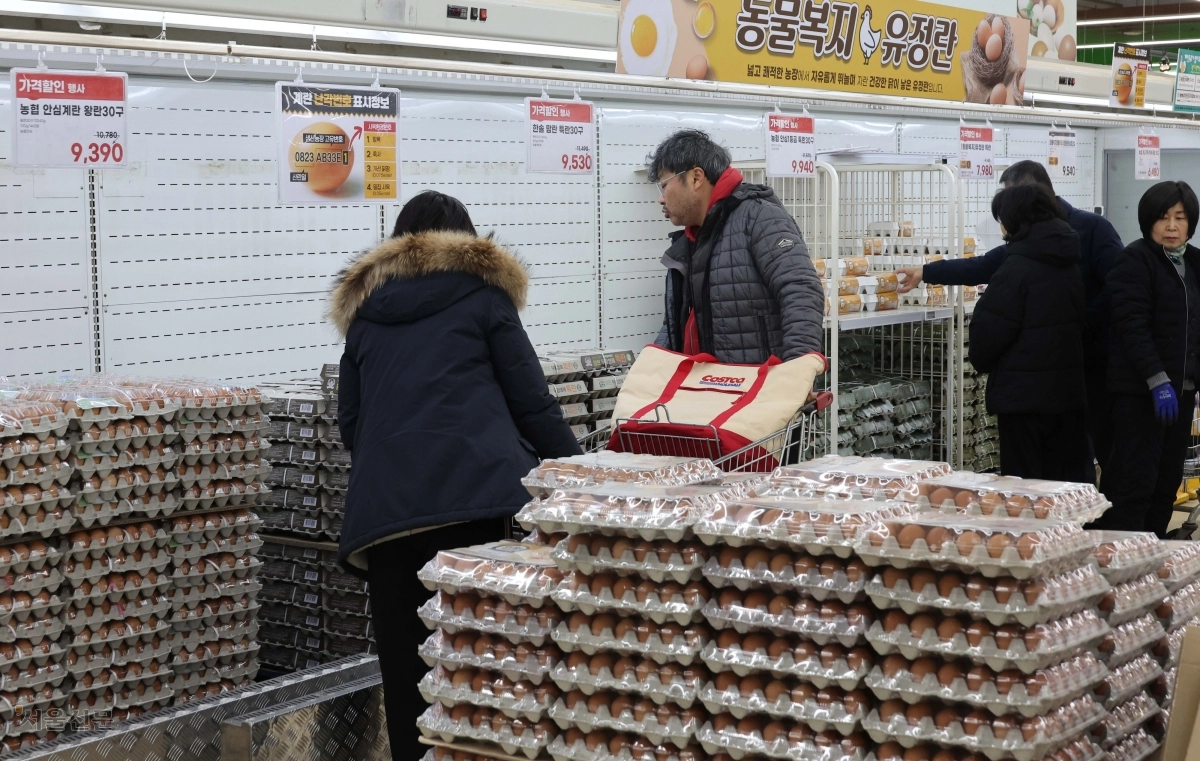 계란값 잡힐까… 미국산 신선란 첫 물량 국내 도착