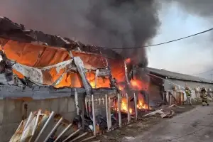 구미 돈사 화재…돼지 800마리 폐사