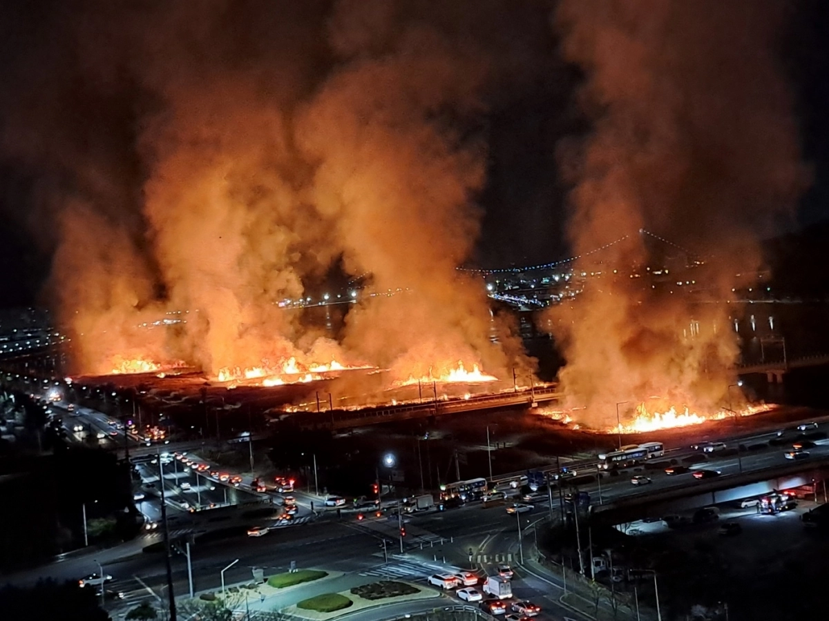 지난 24일 오후 7시 26분쯤 불이 난 울산 북구 태화강 물억새 군락. 불길이 물억새 군락에서 치솟고 있다. 울산 박정훈 기자
