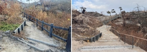 서울 서대문구가 정비한 인왕산 산불 피해지.   서대문구 제공