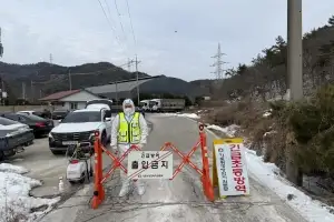 영광 양돈농장 아프리카돼지열병 발생