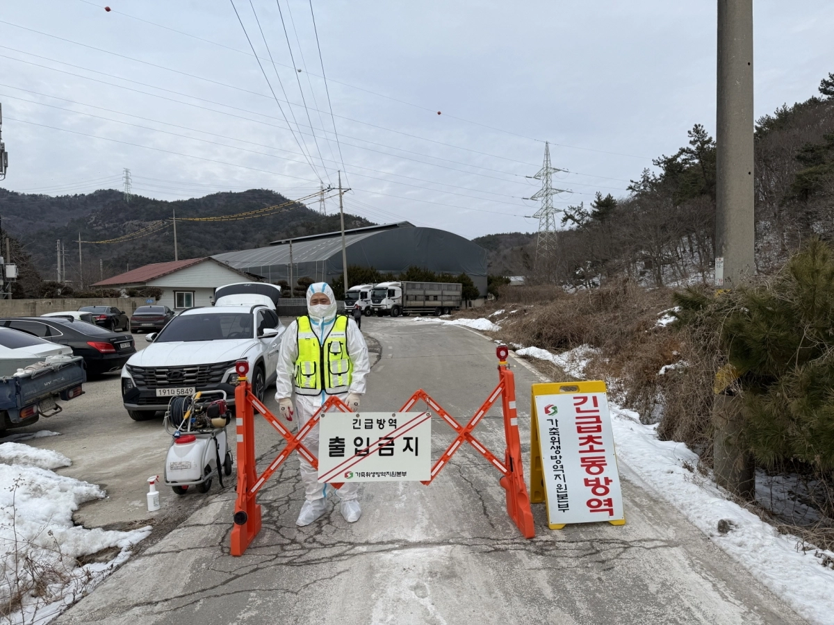 전라남도가 지난 26일 아프리카돼지열병이 발생한  영광 양돈농장에서 방역 활동을 하고 있다.