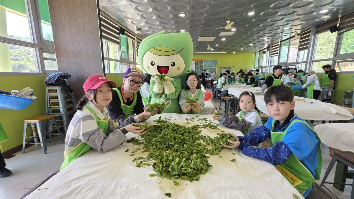 지난해 5월 열린 제48회 보성다향대축제