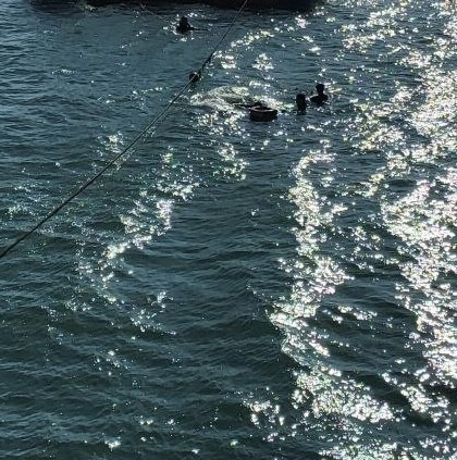 승용차가 바다로 추락해 30대 운전자가 숨진 안산 메추리섬 선착장(경기소방본부 제공)