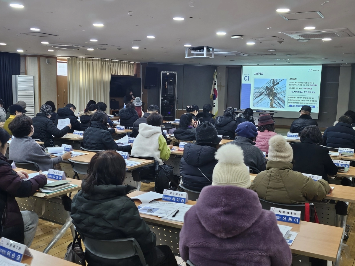 금천구 시흥1동 공중케이블 정비사업