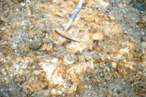 thumbnail - “6.5조 금맥 터진다” 대박…투자자들 몰리는 ‘이곳’ 정체