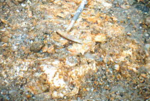 금 채굴 관련 이미지. 기사와 직접 관련 없음. 위키피디아