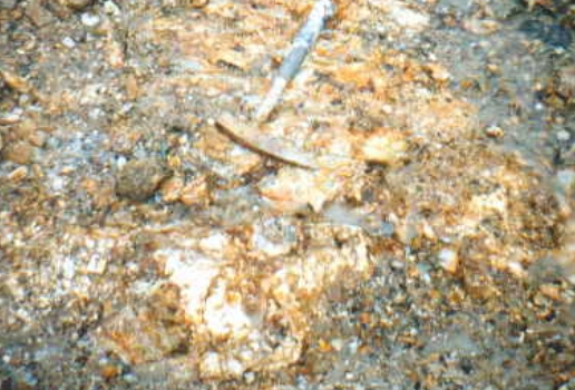 금 채굴 관련 이미지. 기사와 직접 관련 없음. 위키피디아