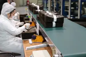 전남도, 산단 부호 등록에 김 수출액 크게 늘어