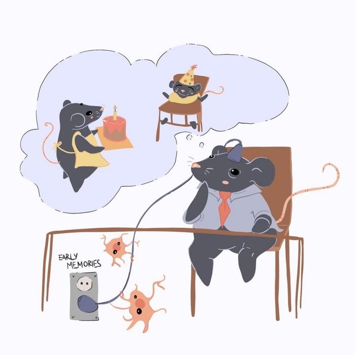 뇌 면역세포인 미세아교세포는 유아 발달 과정에서 기억을 남길지를 결정하며, 태아기 및 출생 후 발달 과정에서의 다양한 면역 경험에 따라 망각 속도가 달라질 수 있다는 연구 결과가 나왔다. 플로스 생물학 제공