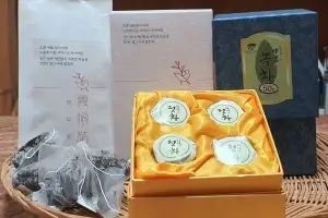 청정 자연이 빚은 깊은 향, ‘강진 야생차’ 인기 몰이