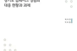 경기도 딥페이크 성범죄 큰 폭 증가…피해자 두 명 중 한 명 ‘10대 이하’