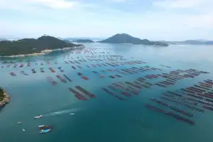 전남도, AI·스마트 양식 전환 나서